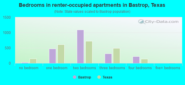 Bedrooms in renter-occupied apartments in Bastrop, Texas