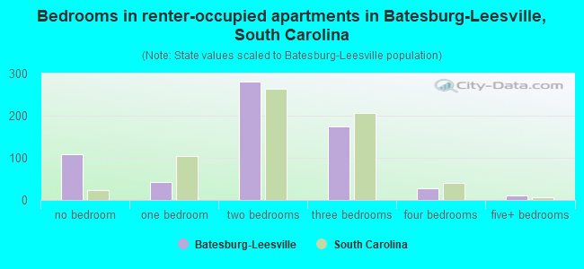 Bedrooms in renter-occupied apartments in Batesburg-Leesville, South Carolina