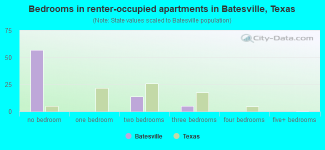 Bedrooms in renter-occupied apartments in Batesville, Texas