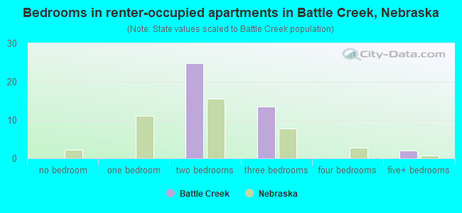 Bedrooms in renter-occupied apartments in Battle Creek, Nebraska