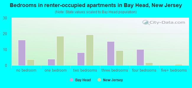 Bedrooms in renter-occupied apartments in Bay Head, New Jersey