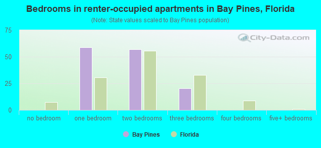 Bedrooms in renter-occupied apartments in Bay Pines, Florida