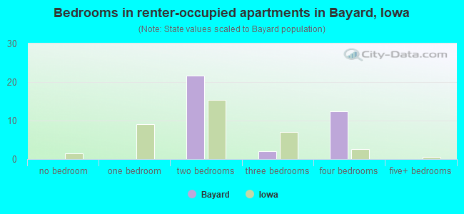 Bedrooms in renter-occupied apartments in Bayard, Iowa