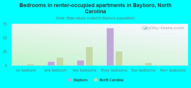 Bedrooms in renter-occupied apartments in Bayboro, North Carolina