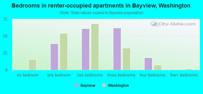 Bedrooms in renter-occupied apartments in Bayview, Washington