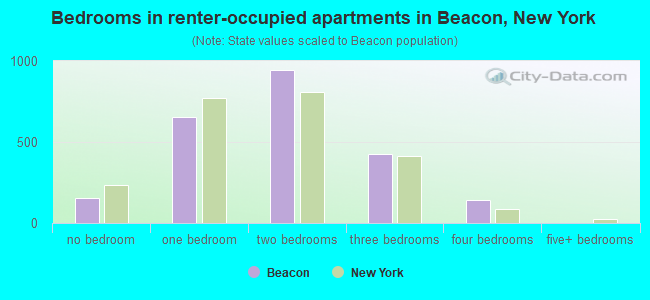Bedrooms in renter-occupied apartments in Beacon, New York
