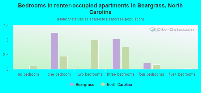 Bedrooms in renter-occupied apartments in Beargrass, North Carolina