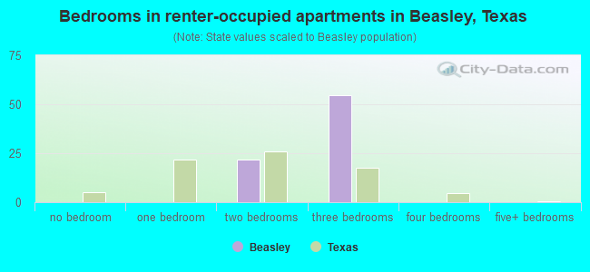 Bedrooms in renter-occupied apartments in Beasley, Texas