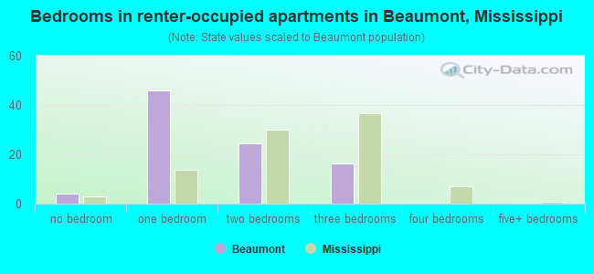 Bedrooms in renter-occupied apartments in Beaumont, Mississippi