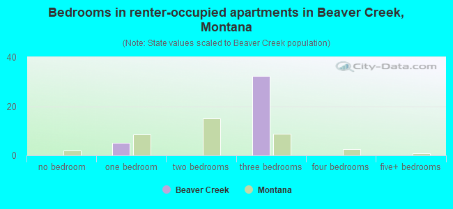 Bedrooms in renter-occupied apartments in Beaver Creek, Montana