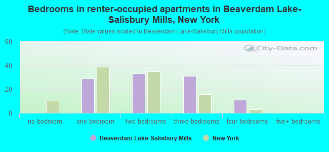 Bedrooms in renter-occupied apartments in Beaverdam Lake-Salisbury Mills, New York