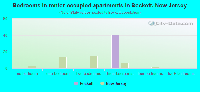 Bedrooms in renter-occupied apartments in Beckett, New Jersey
