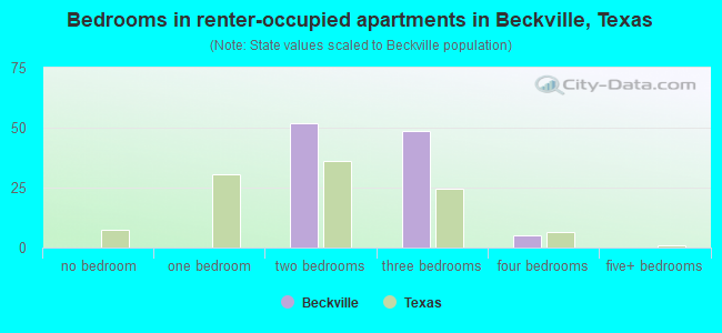 Bedrooms in renter-occupied apartments in Beckville, Texas
