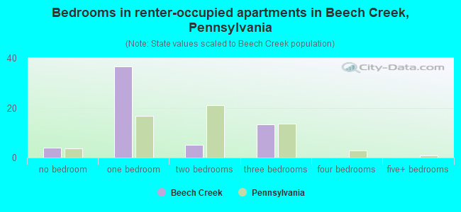 Bedrooms in renter-occupied apartments in Beech Creek, Pennsylvania