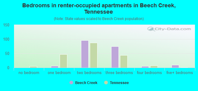 Bedrooms in renter-occupied apartments in Beech Creek, Tennessee