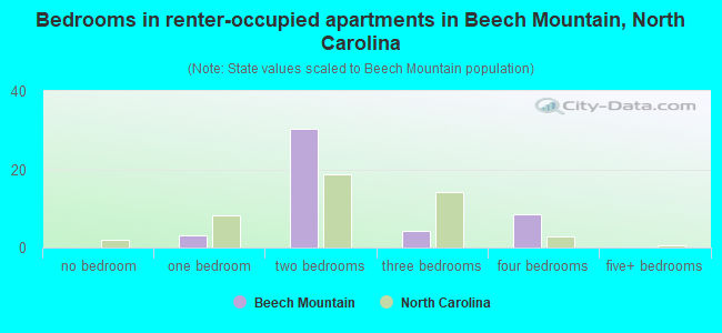 Bedrooms in renter-occupied apartments in Beech Mountain, North Carolina