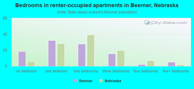 Bedrooms in renter-occupied apartments in Beemer, Nebraska