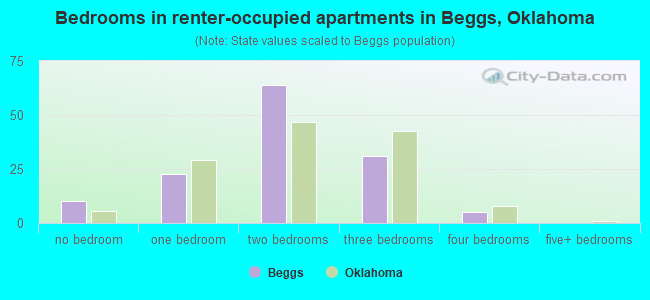 Bedrooms in renter-occupied apartments in Beggs, Oklahoma