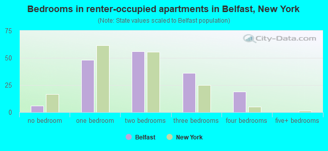 Bedrooms in renter-occupied apartments in Belfast, New York