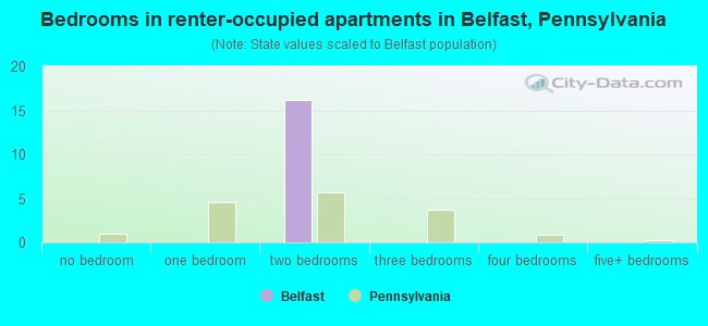 Bedrooms in renter-occupied apartments in Belfast, Pennsylvania