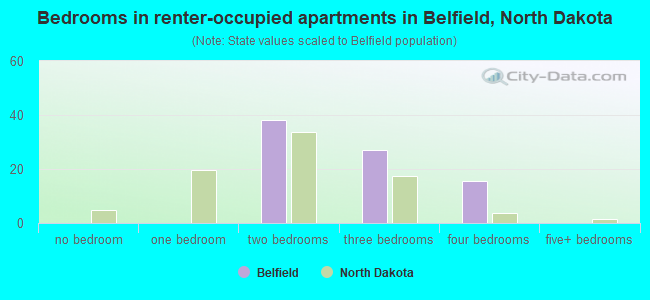 Bedrooms in renter-occupied apartments in Belfield, North Dakota