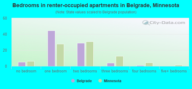 Bedrooms in renter-occupied apartments in Belgrade, Minnesota