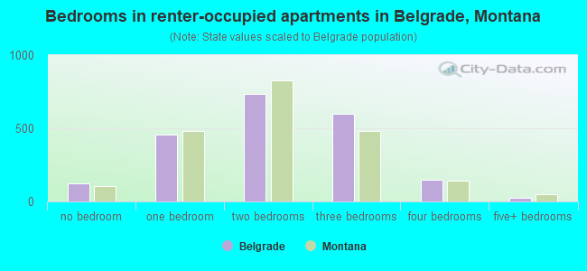 Bedrooms in renter-occupied apartments in Belgrade, Montana