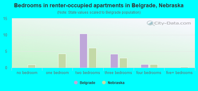 Bedrooms in renter-occupied apartments in Belgrade, Nebraska