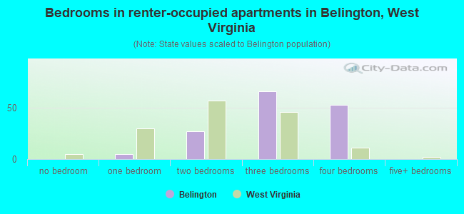 Bedrooms in renter-occupied apartments in Belington, West Virginia