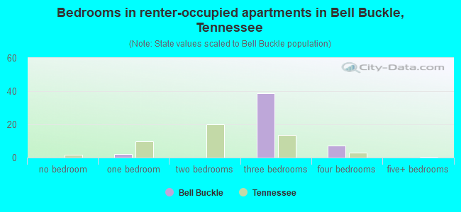 Bedrooms in renter-occupied apartments in Bell Buckle, Tennessee