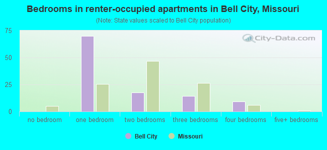 Bedrooms in renter-occupied apartments in Bell City, Missouri