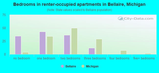 Bedrooms in renter-occupied apartments in Bellaire, Michigan
