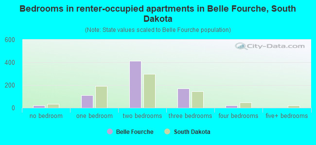 Bedrooms in renter-occupied apartments in Belle Fourche, South Dakota