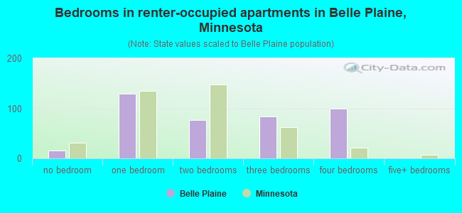 Bedrooms in renter-occupied apartments in Belle Plaine, Minnesota