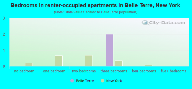 Bedrooms in renter-occupied apartments in Belle Terre, New York