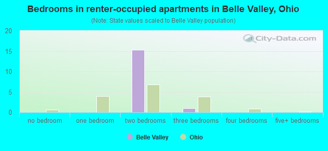 Bedrooms in renter-occupied apartments in Belle Valley, Ohio