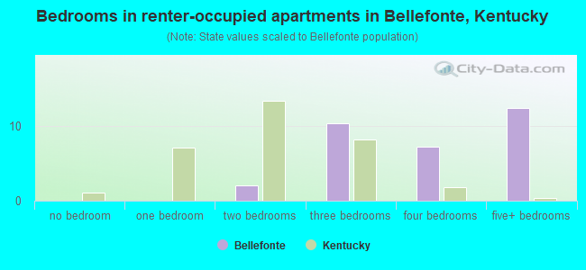 Bedrooms in renter-occupied apartments in Bellefonte, Kentucky