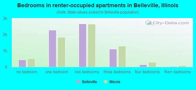 Bedrooms in renter-occupied apartments in Belleville, Illinois