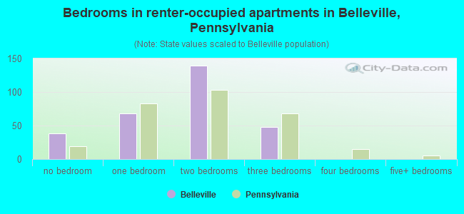 Bedrooms in renter-occupied apartments in Belleville, Pennsylvania