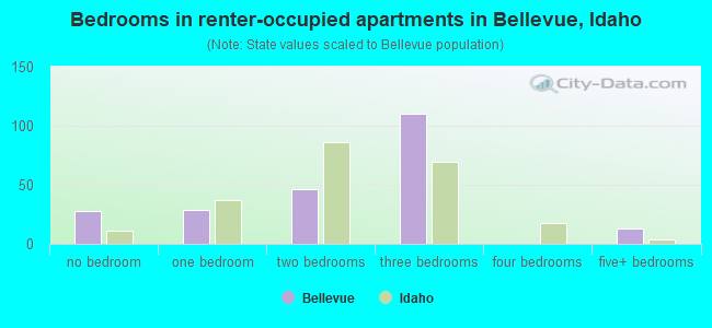 Bedrooms in renter-occupied apartments in Bellevue, Idaho