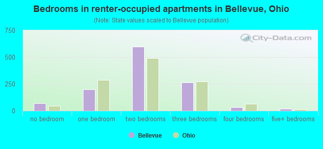 Bedrooms in renter-occupied apartments in Bellevue, Ohio