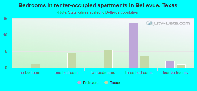 Bedrooms in renter-occupied apartments in Bellevue, Texas