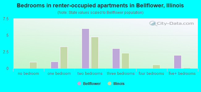 Bedrooms in renter-occupied apartments in Bellflower, Illinois