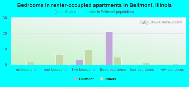 Bedrooms in renter-occupied apartments in Bellmont, Illinois