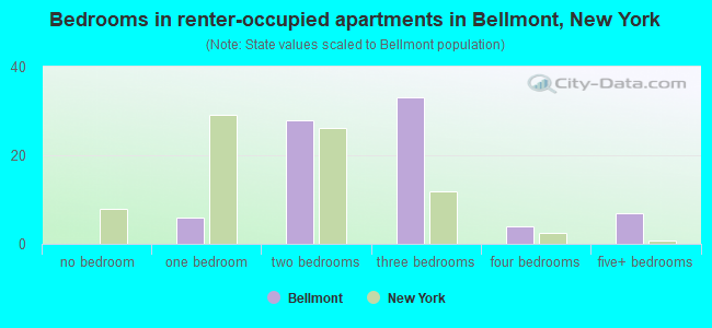 Bedrooms in renter-occupied apartments in Bellmont, New York