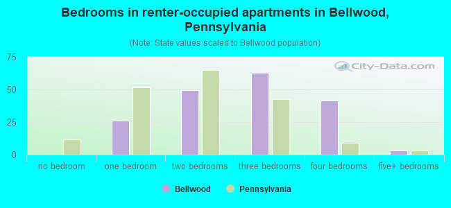 Bedrooms in renter-occupied apartments in Bellwood, Pennsylvania