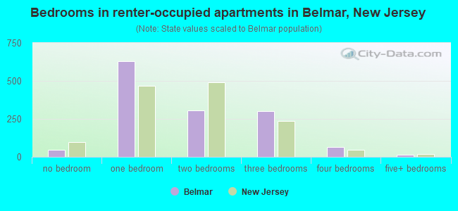 Bedrooms in renter-occupied apartments in Belmar, New Jersey
