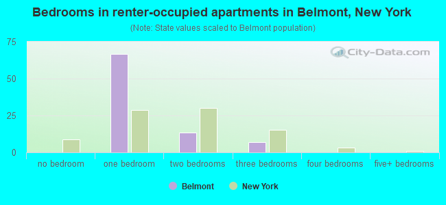 Bedrooms in renter-occupied apartments in Belmont, New York