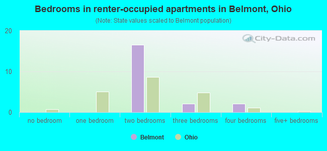 Bedrooms in renter-occupied apartments in Belmont, Ohio