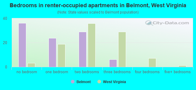 Bedrooms in renter-occupied apartments in Belmont, West Virginia